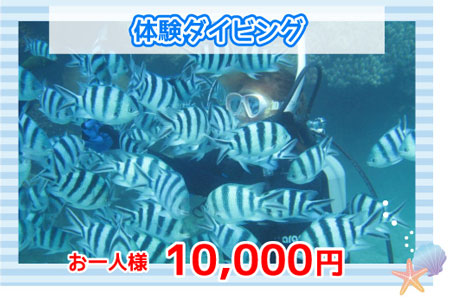 体験ダイビング10000円